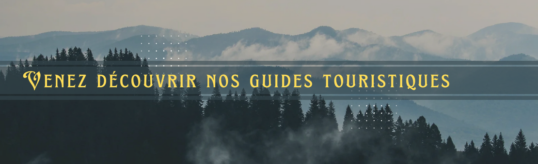 Guide de Voyage